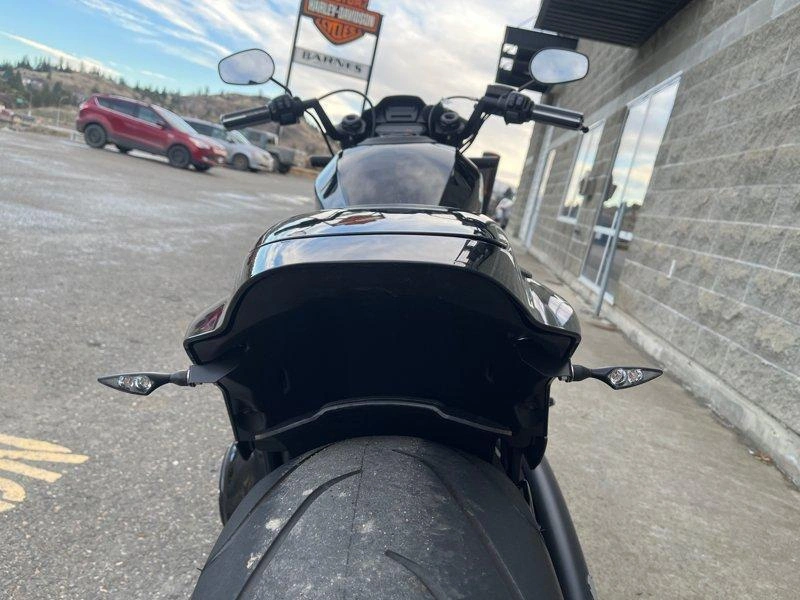 2019 Harley-davidson Fxdr - Fxdr™ 114 alt