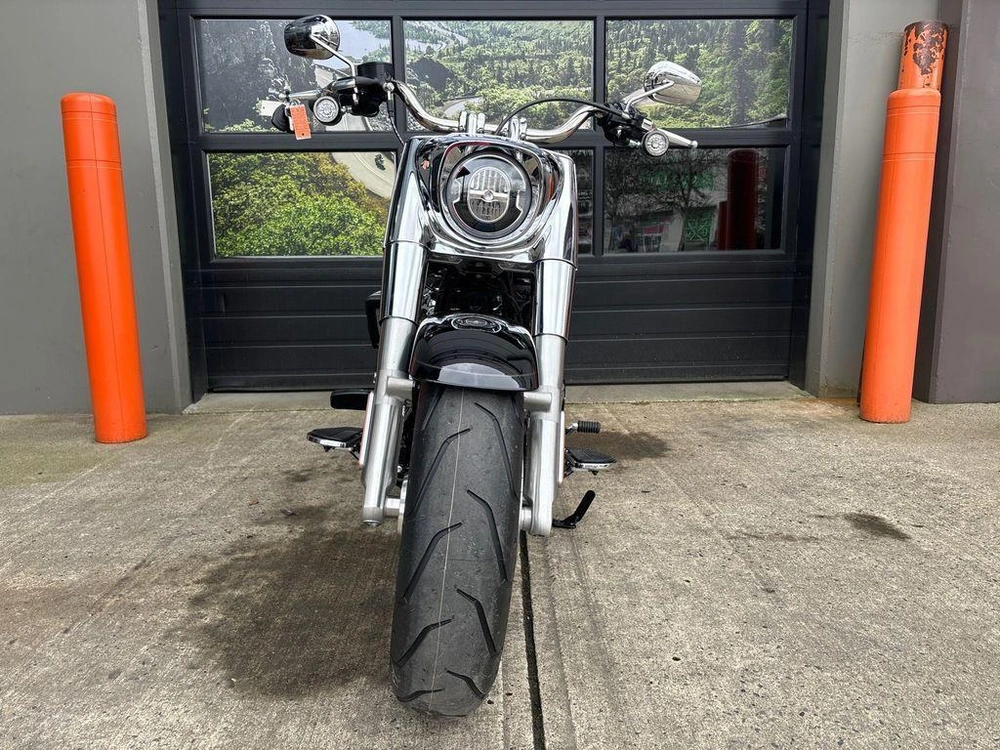 2025 Harley-davidson Flfb - Fat Boy™ alt