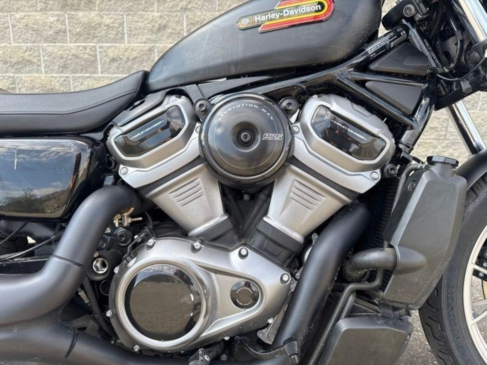 2024 Harley-davidson Rh975s - Nightster™ Special alt