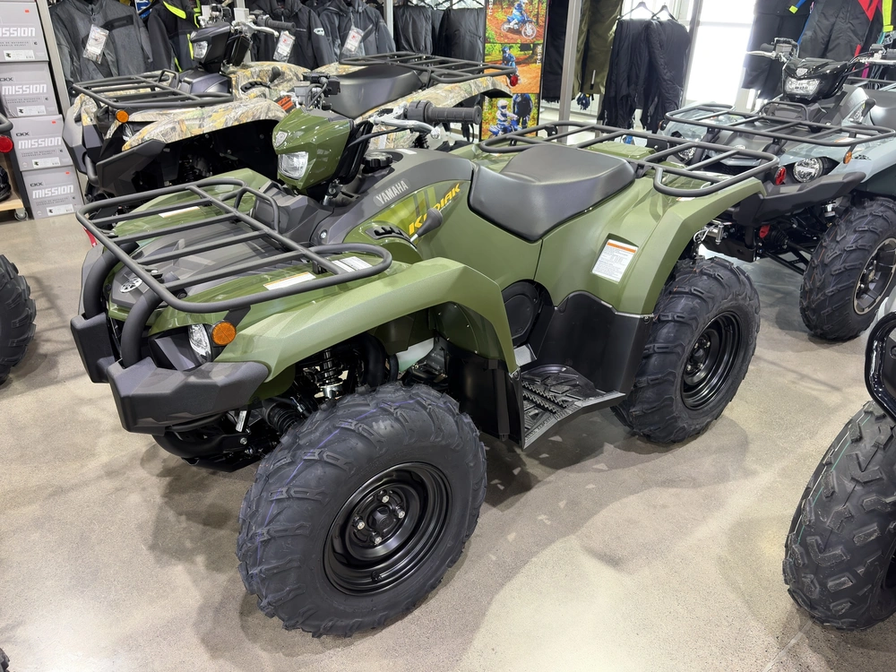 Yamaha Kodiak 450 Eps 2026 alt