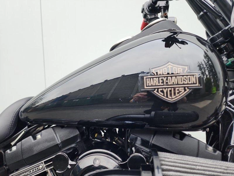 2016 Harley-davidson Fxdls - Low Rider® S alt