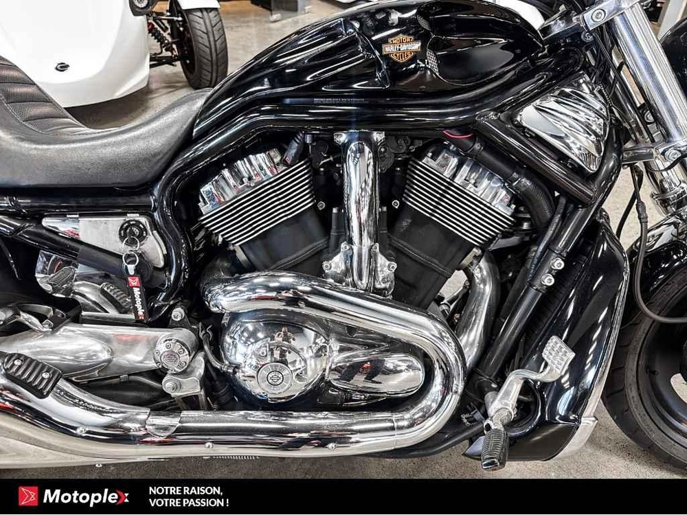 2006 Harley-davidson Vrod Night Rod *bas Kilo* alt