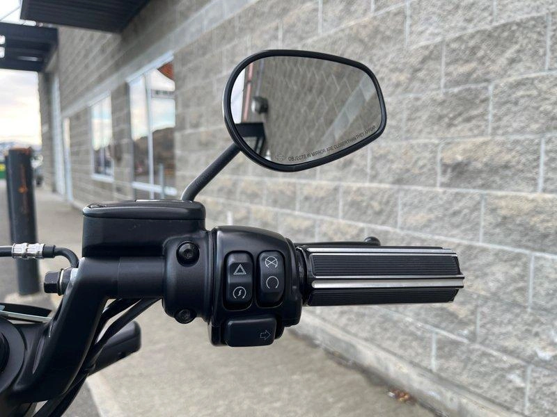 2019 Harley-davidson Fxdrs - Fxdr™ 114 alt