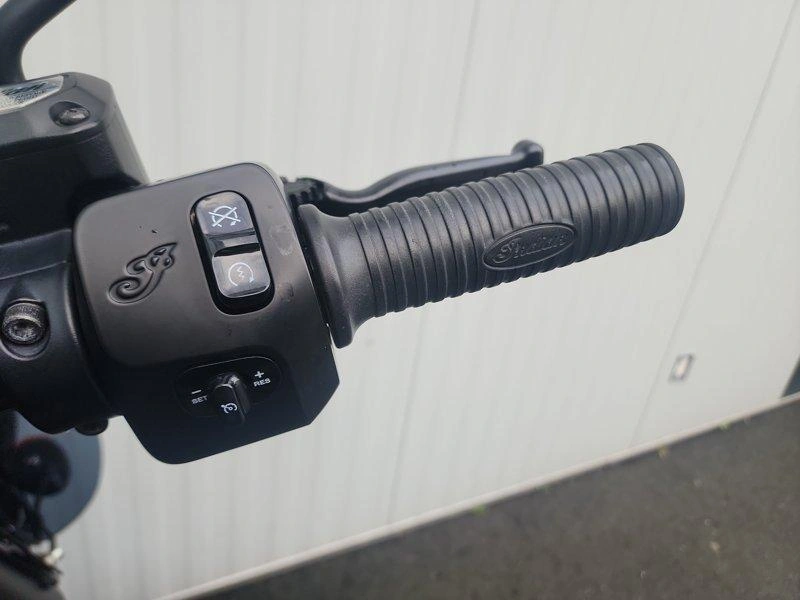 2019 Indian Motorcycle Springfield Dark Horse alt