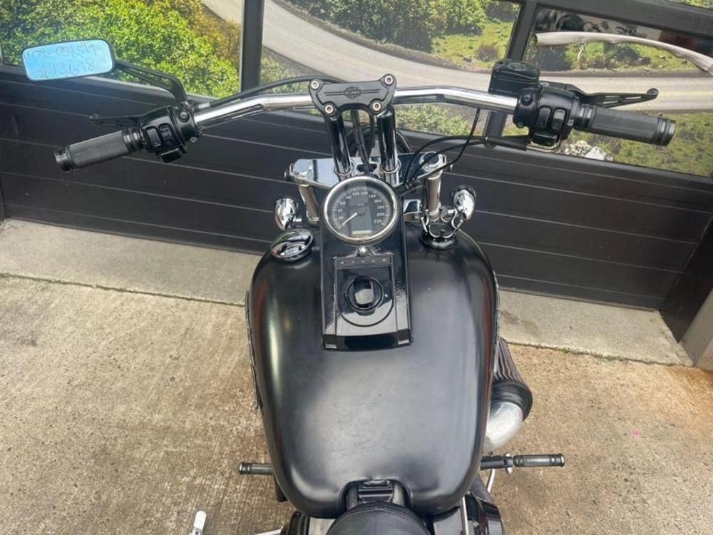 2004 Harley-davidson Fxst - Softail® Standard alt