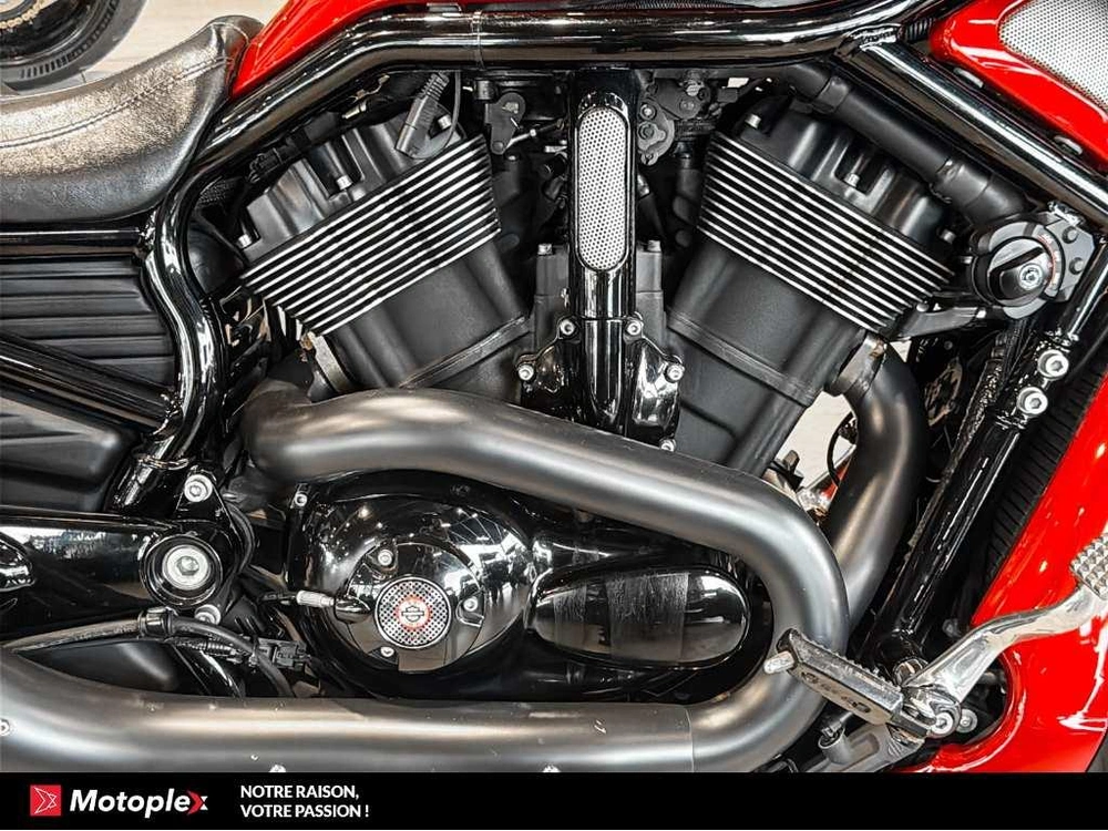 Harley-davidson Vrod Night Rod Special Vrscdx 2014 alt