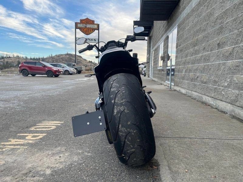 2019 Harley-davidson Fxdr - Fxdr™ 114 alt