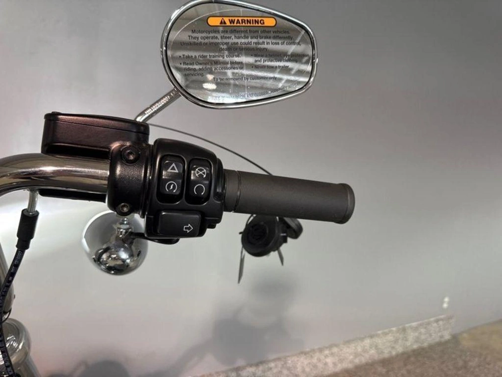 2024 Harley-davidson Fxst - Softail™ Standard alt