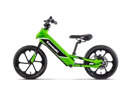 Kawasaki Elektrode 2024 alt