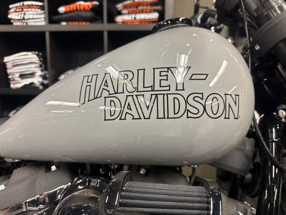 2025 Harley-davidson Fxlrs - Low Rider® S alt