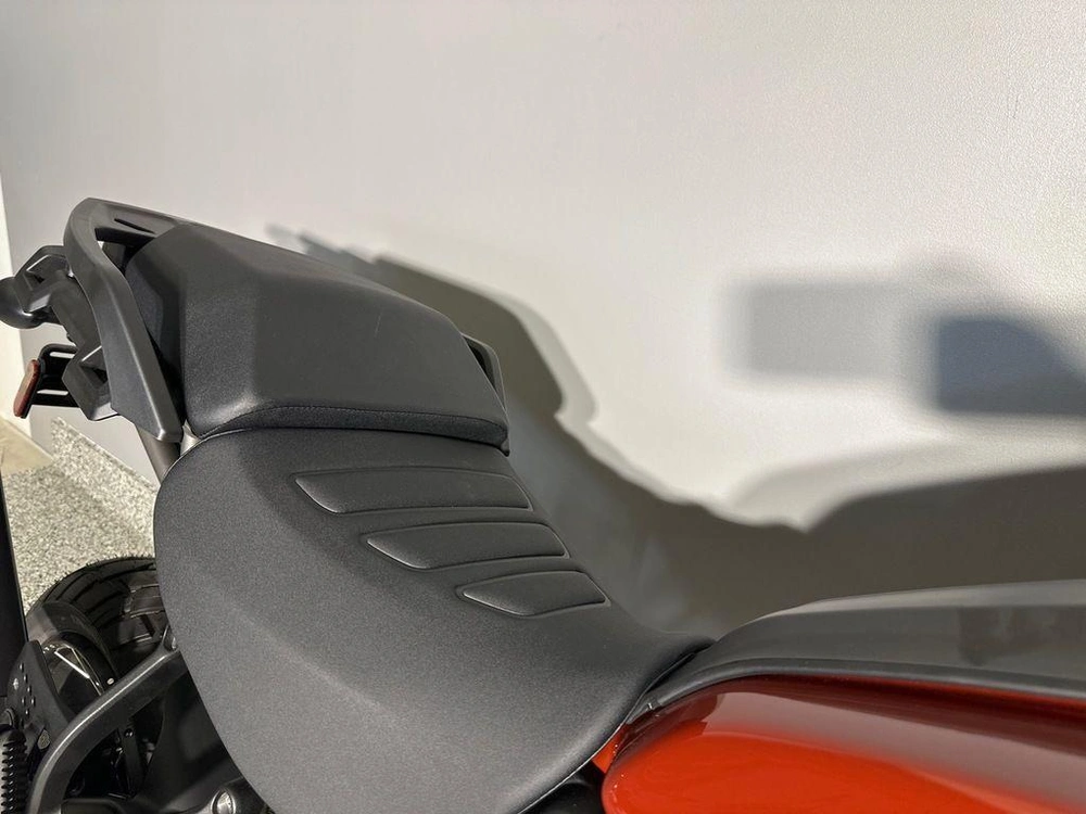 2024 Harley-davidson Ra1250s - Pan America™ 1250 Special alt