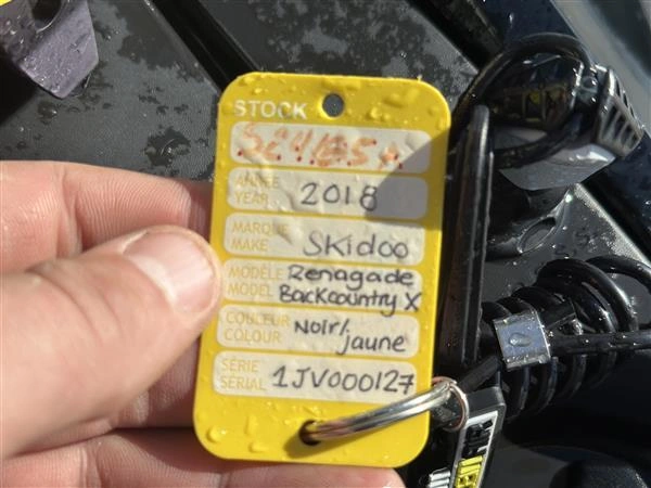 Ski-doo Renegade X Backcountry 850 E-tec 146 2018 alt