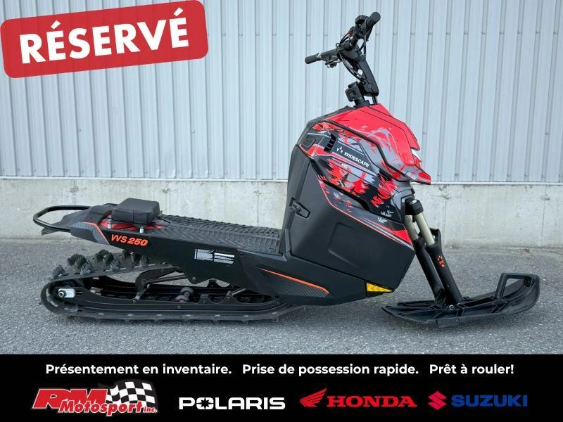 Widescape Ws250 2024 alt