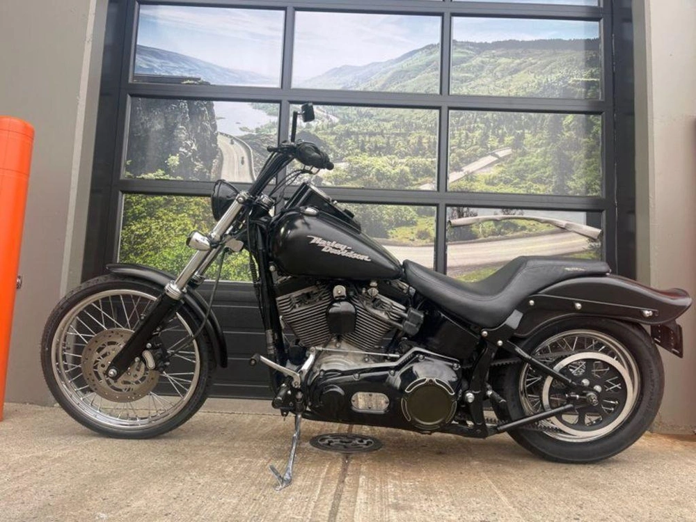 2004 Harley-davidson Fxst - Softail® Standard