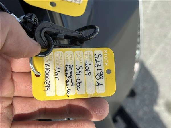 Ski-doo Renegade Enduro 900 Ace 137 2019 alt