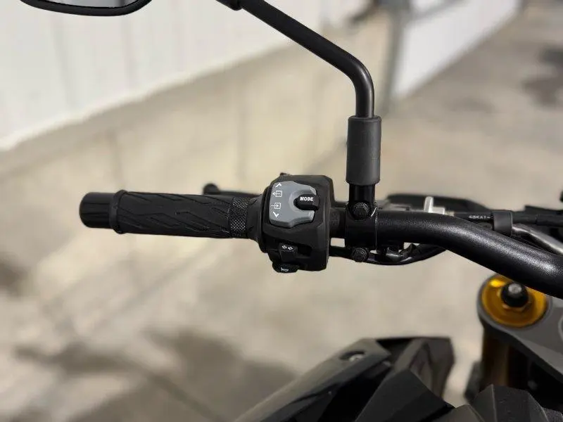 2024 Suzuki GSX-S1000 AM