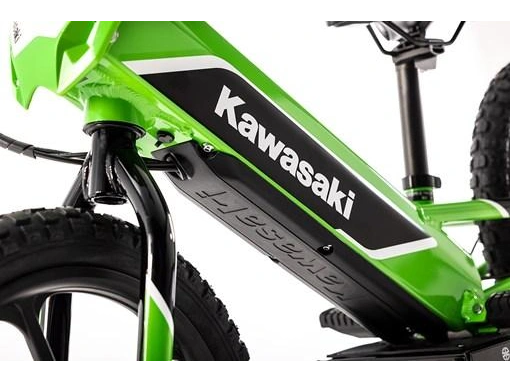 Kawasaki Elektrode 2024 alt