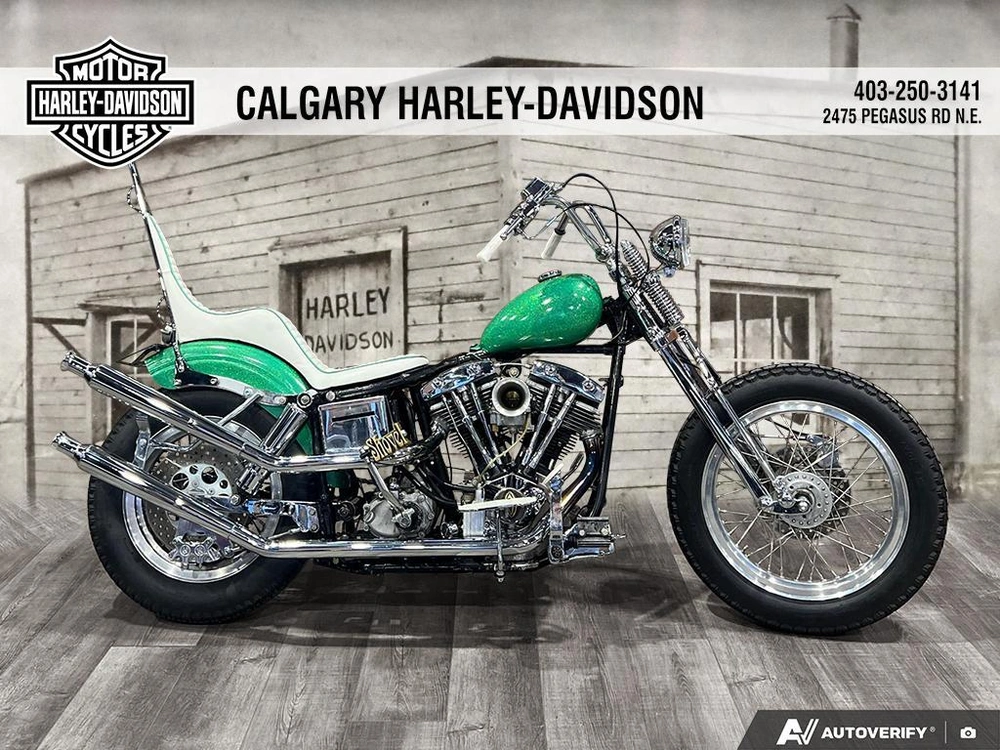 1981 Harley-davidson Fxef Custom alt