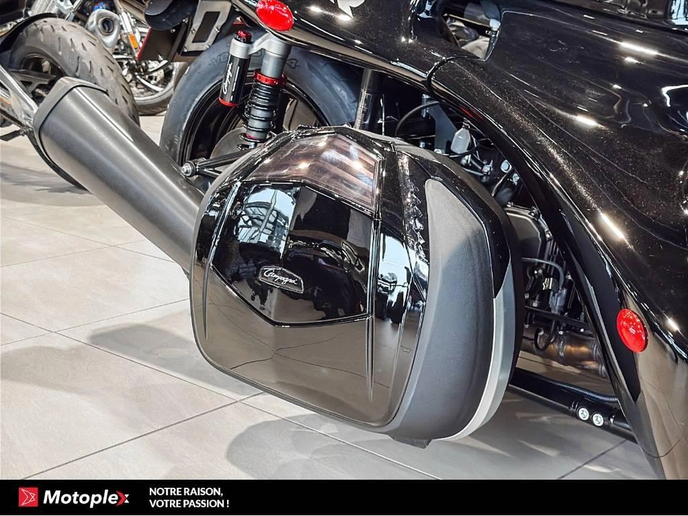 2026 Campagna T-rex Rr alt