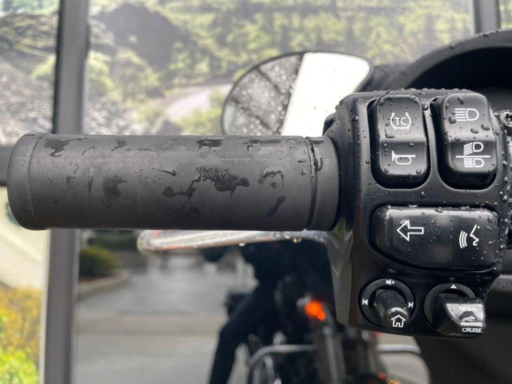 2023 Harley-davidson Flhx - Street Glide™ alt