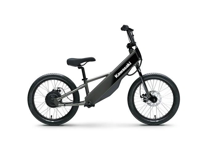 Kawasaki Elektrode 20fs 2025 alt