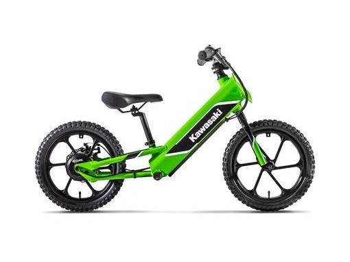 Kawasaki Elektrode 2024 alt