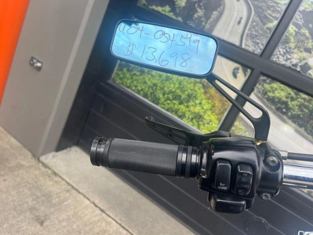 2004 Harley-davidson Fxst - Softail® Standard alt