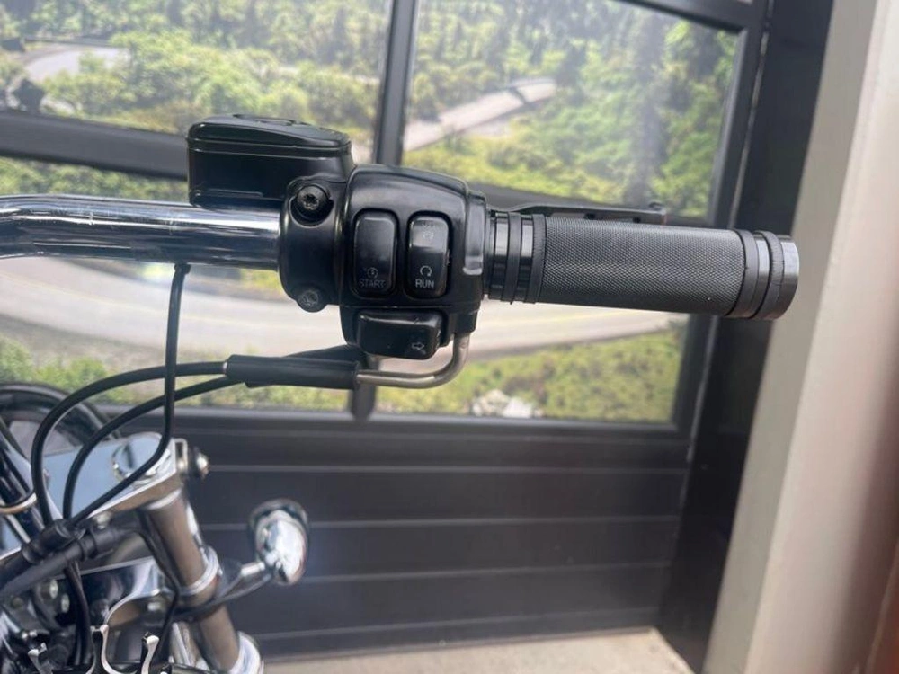 2004 Harley-davidson Fxst - Softail® Standard alt