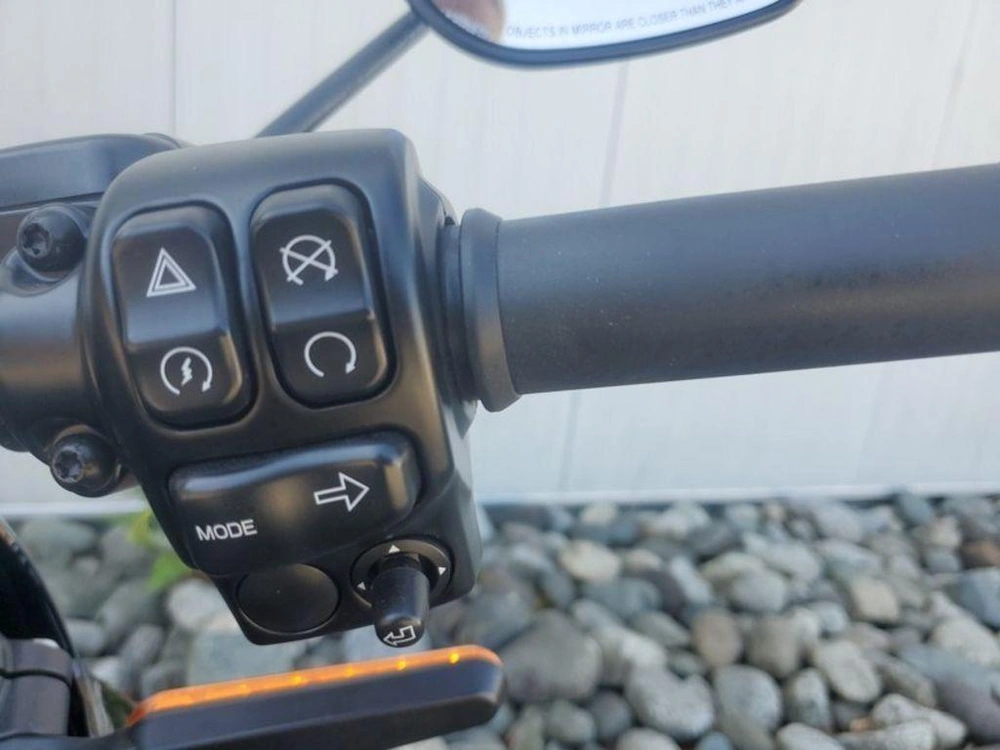 2020 Harley-davidson Elw - Livewire™ alt