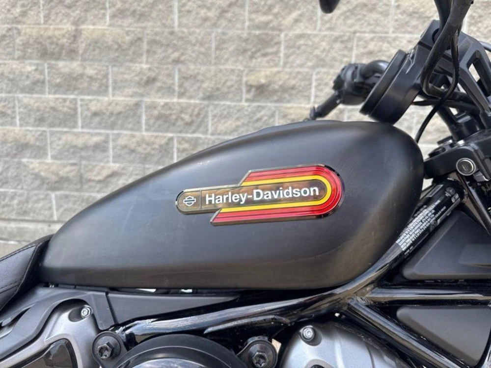 2024 Harley-davidson Rh975s - Nightster™ Special alt