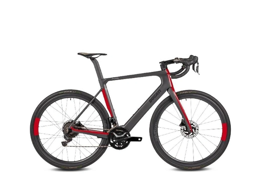 Ducati Futa Large 2023 alt