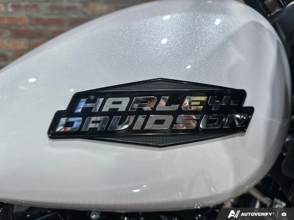 2025 Harley-davidson Fltrx - Road Glide® alt