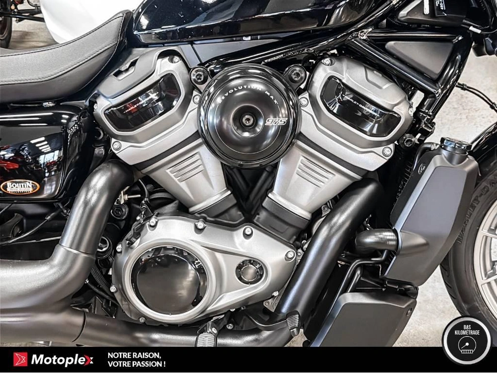 Harley-davidson Nightster Special Rh975s 2024 alt