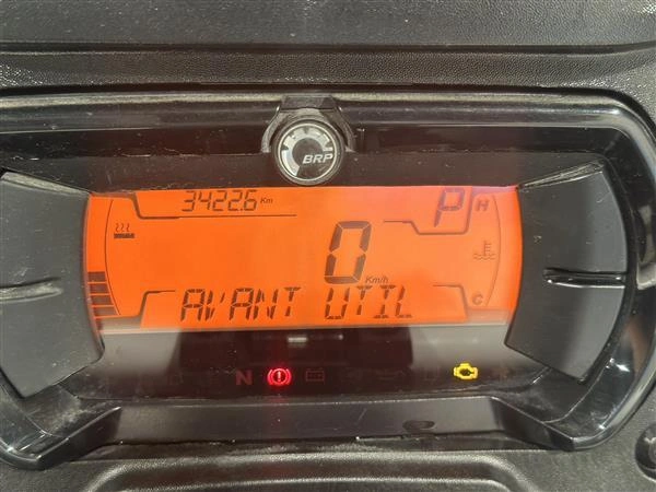 Can-am Ryker Rally Edition 2023 alt