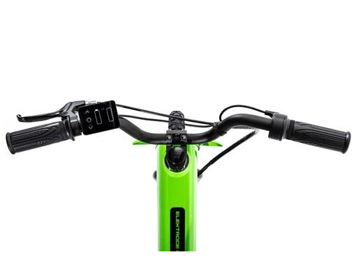 Kawasaki Elektrode 2024 alt