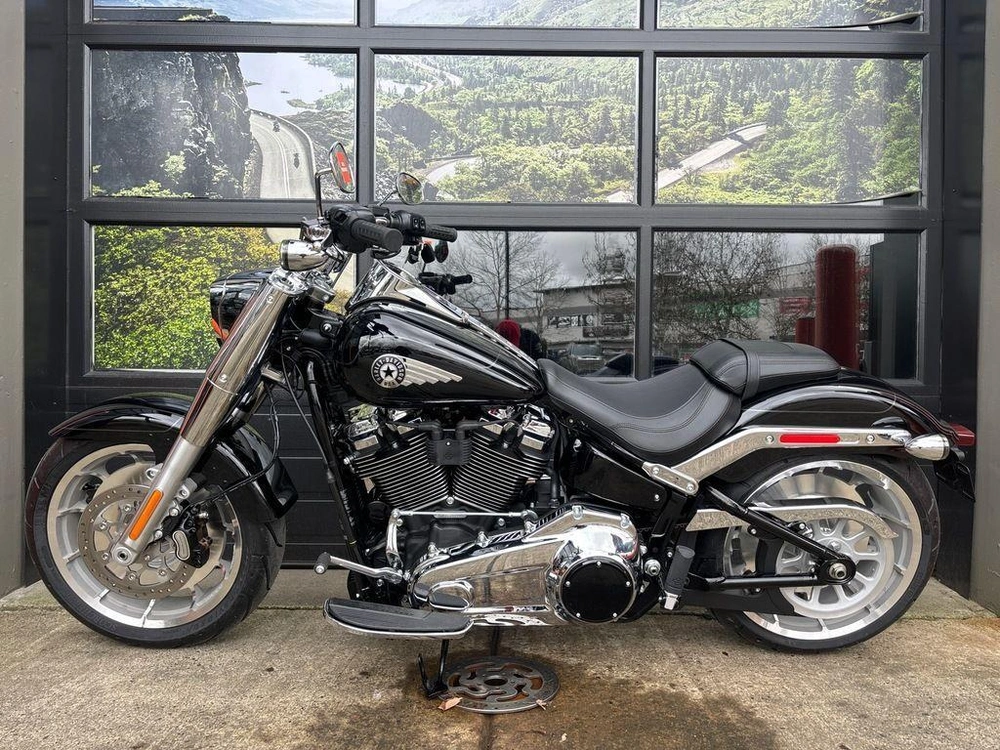 2025 Harley-davidson Flfb - Fat Boy™ alt