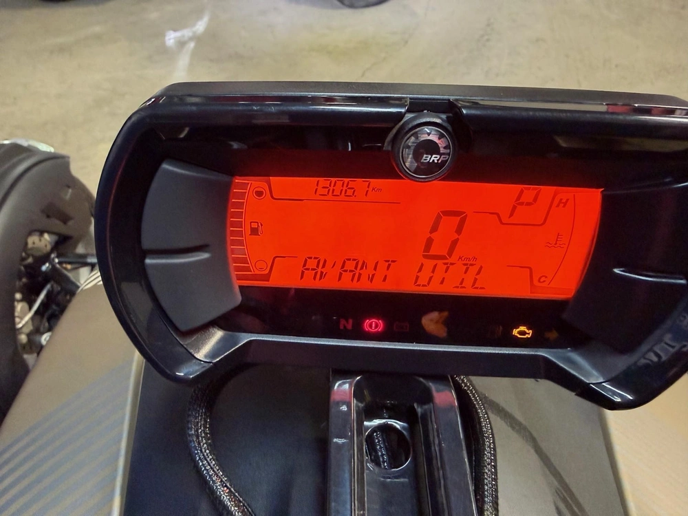 Can-am Ryker Rally 900 Ace 2024 alt