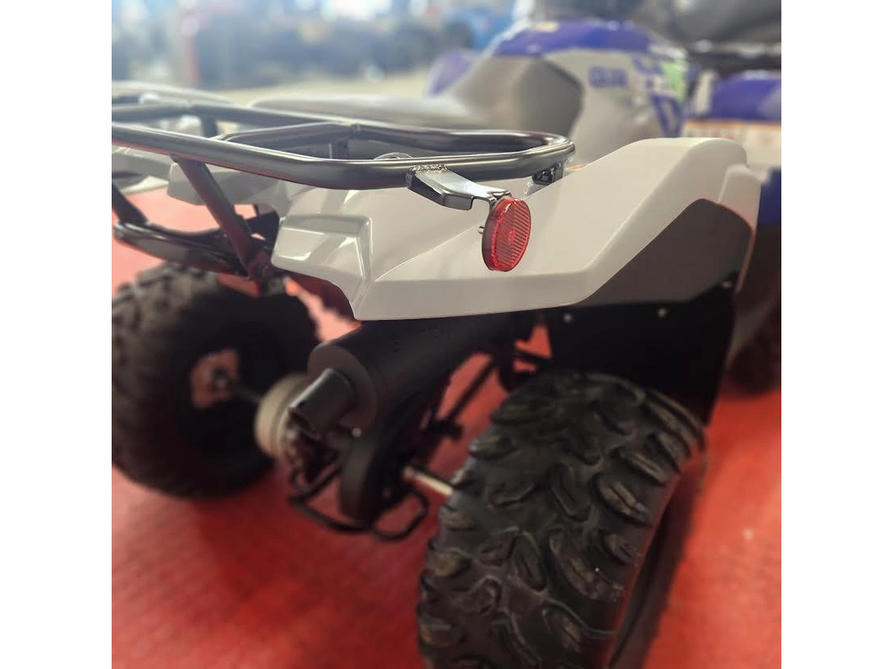 2026 Yamaha Grizzly 110 alt