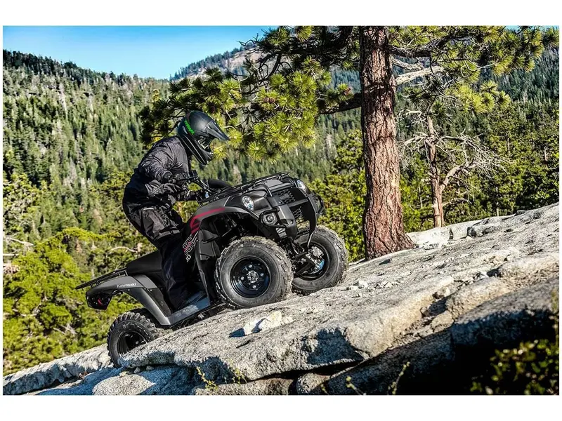 Kawasaki BRUTE FORCE 300 2023