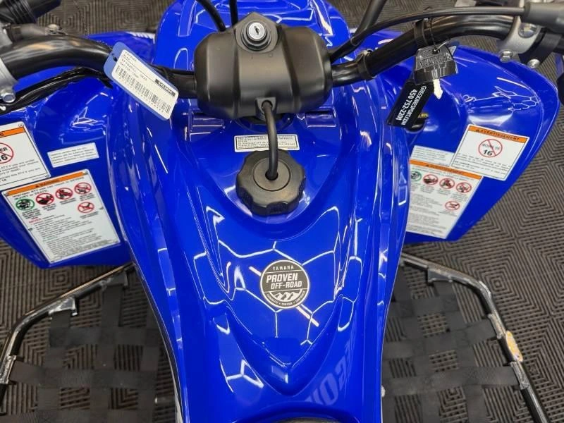 Yamaha Raptor 700r 2025 alt