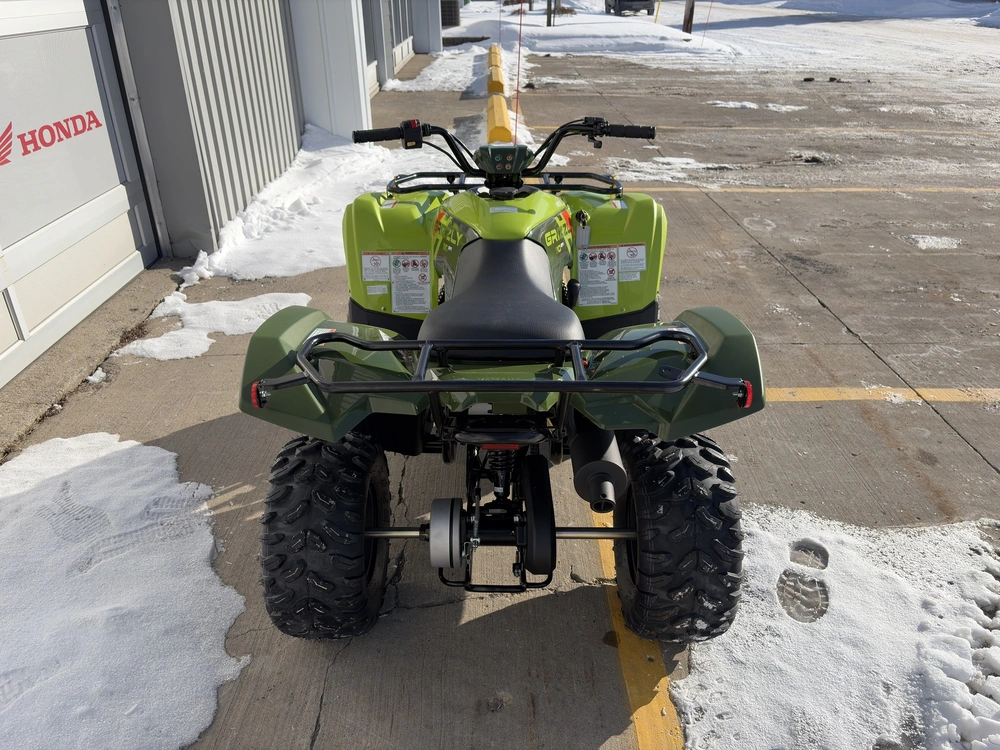 Yamaha Grizzly 110 2026 alt