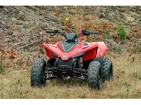 Cfmoto Cforce 110 Classic 2026 alt