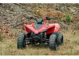 CFMOTO CFORCE 110 CLASSIC 2026