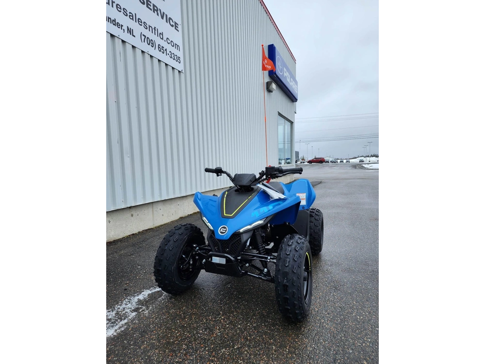2026 Cfmoto Cforce 110 Classic alt