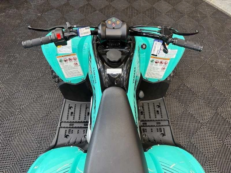 Yamaha Raptor 110 2025 alt