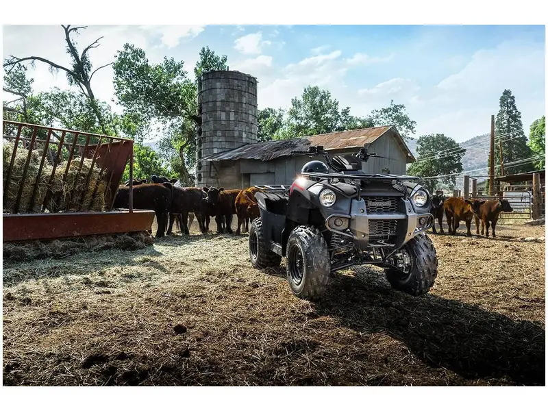 Kawasaki BRUTE FORCE 300 2023