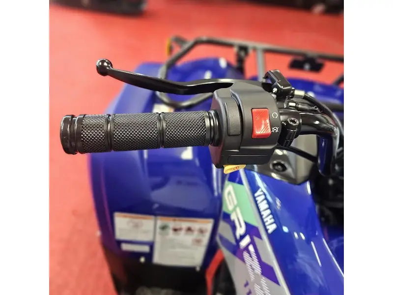 2026 Yamaha GRIZZLY 110