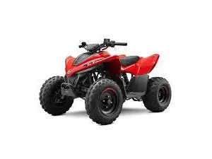 CFMOTO CFORCE 110 CLASSIC  2026