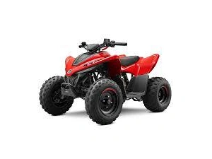 Cfmoto Cforce 110 Classic 2026 alt
