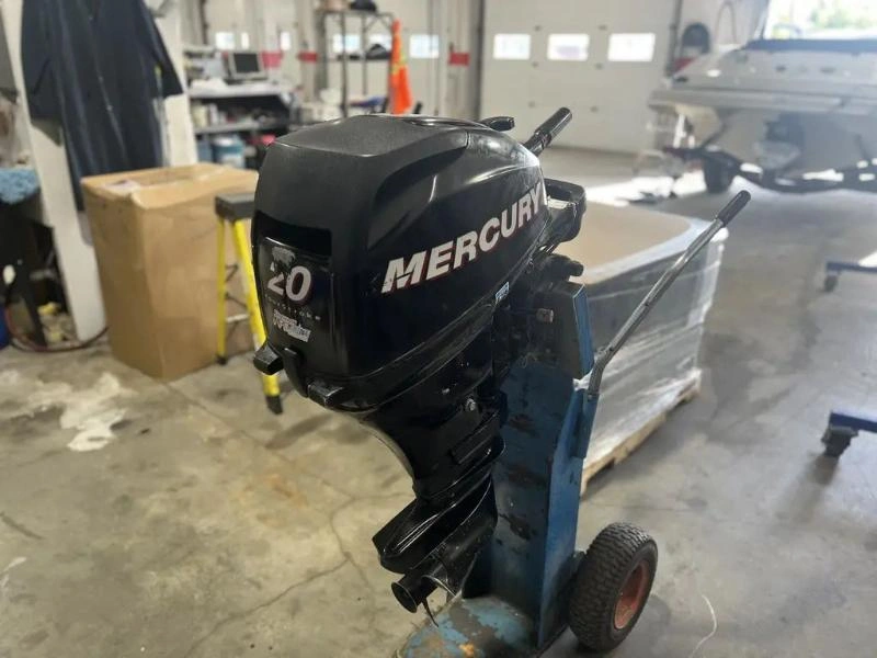 Mercury F20m 2008 alt